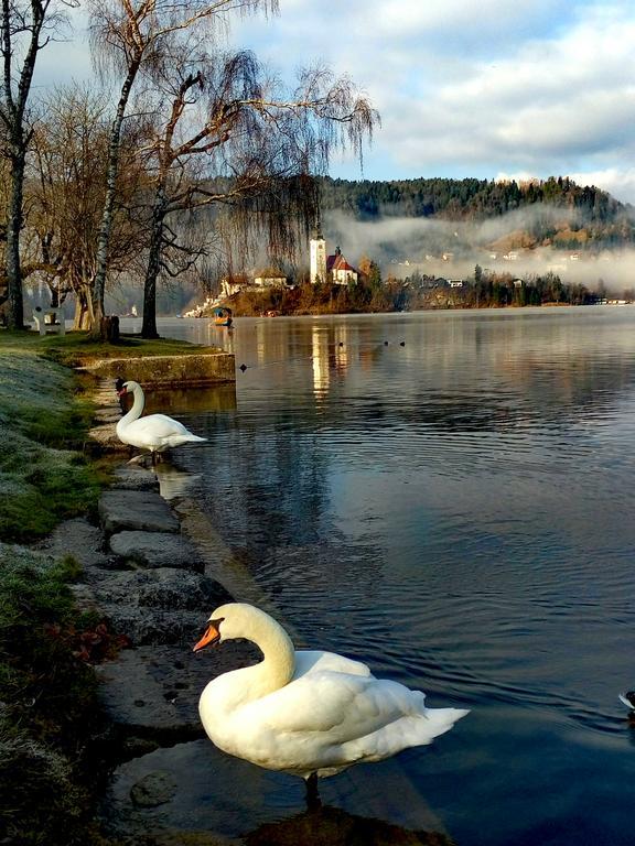 Valant Appartement Bled
