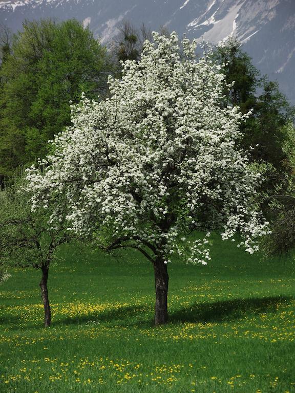 Valant Bled